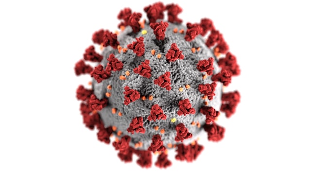 coronavirus cell